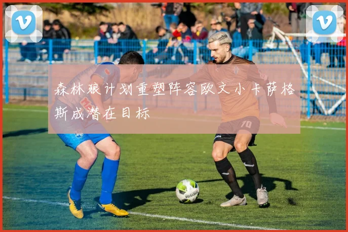森林狼计划重塑阵容欧文小卡萨格斯成潜在目标